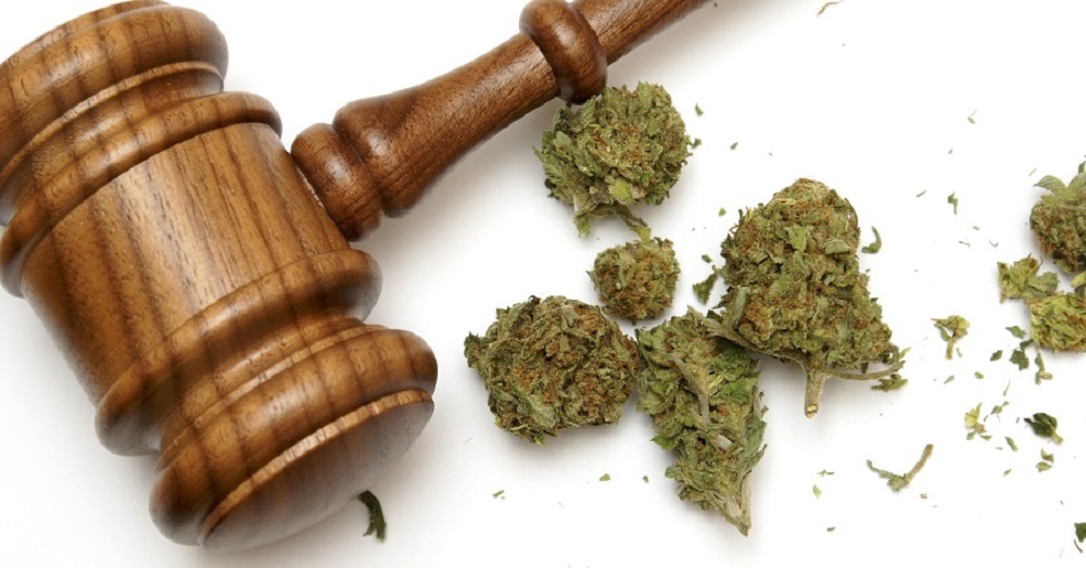 Recreational Marijuana Laws in Colorado