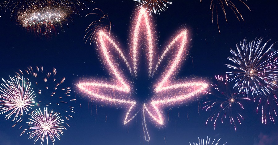 Weed Culture: The 2016 Cannabis Year in Review