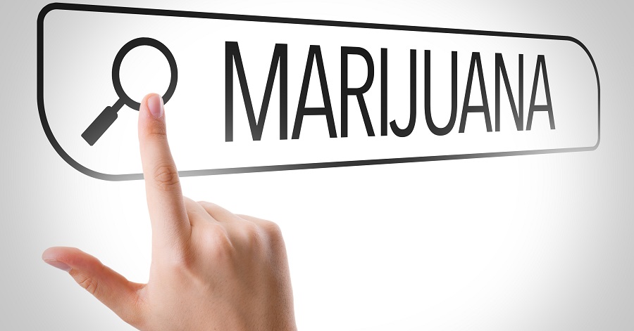 Best Marijuana Resources for Cannabis Enthusiasts