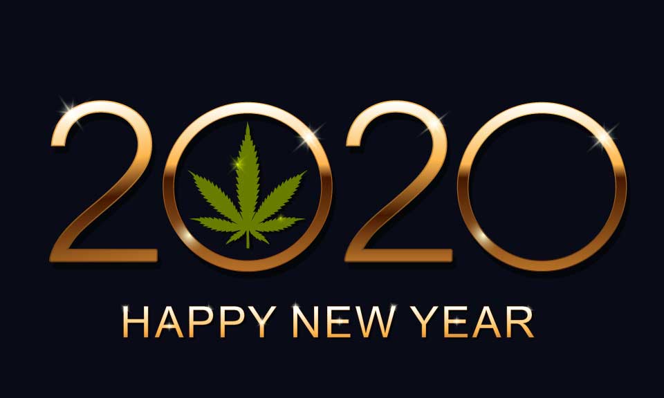 Top 2020 Resolutions Resolutions for Cannabis Consumers