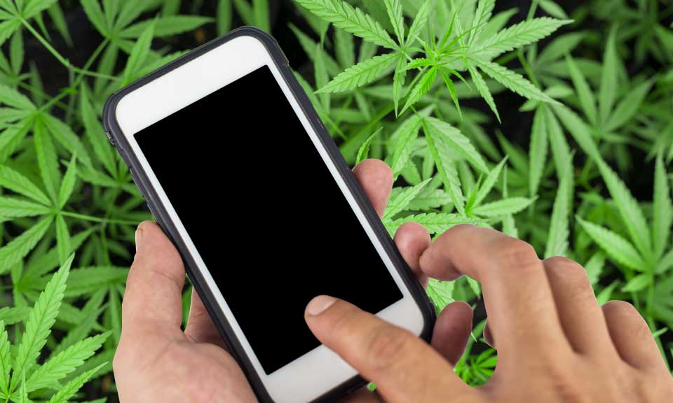 The Best Weed Apps for the Colorado Consumer