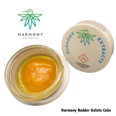 Harmony Badder Gelato Cake