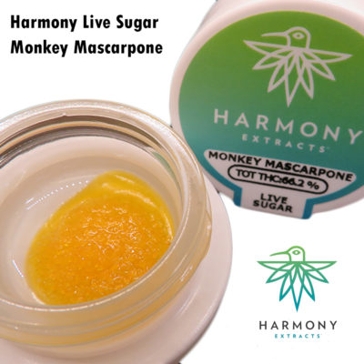 Harmony Live Sugar Monkey Mascarpone