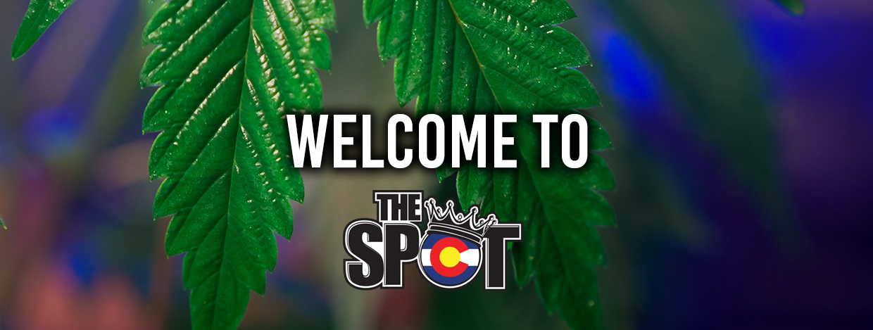 Colorado Dispensaries - The Spot 420